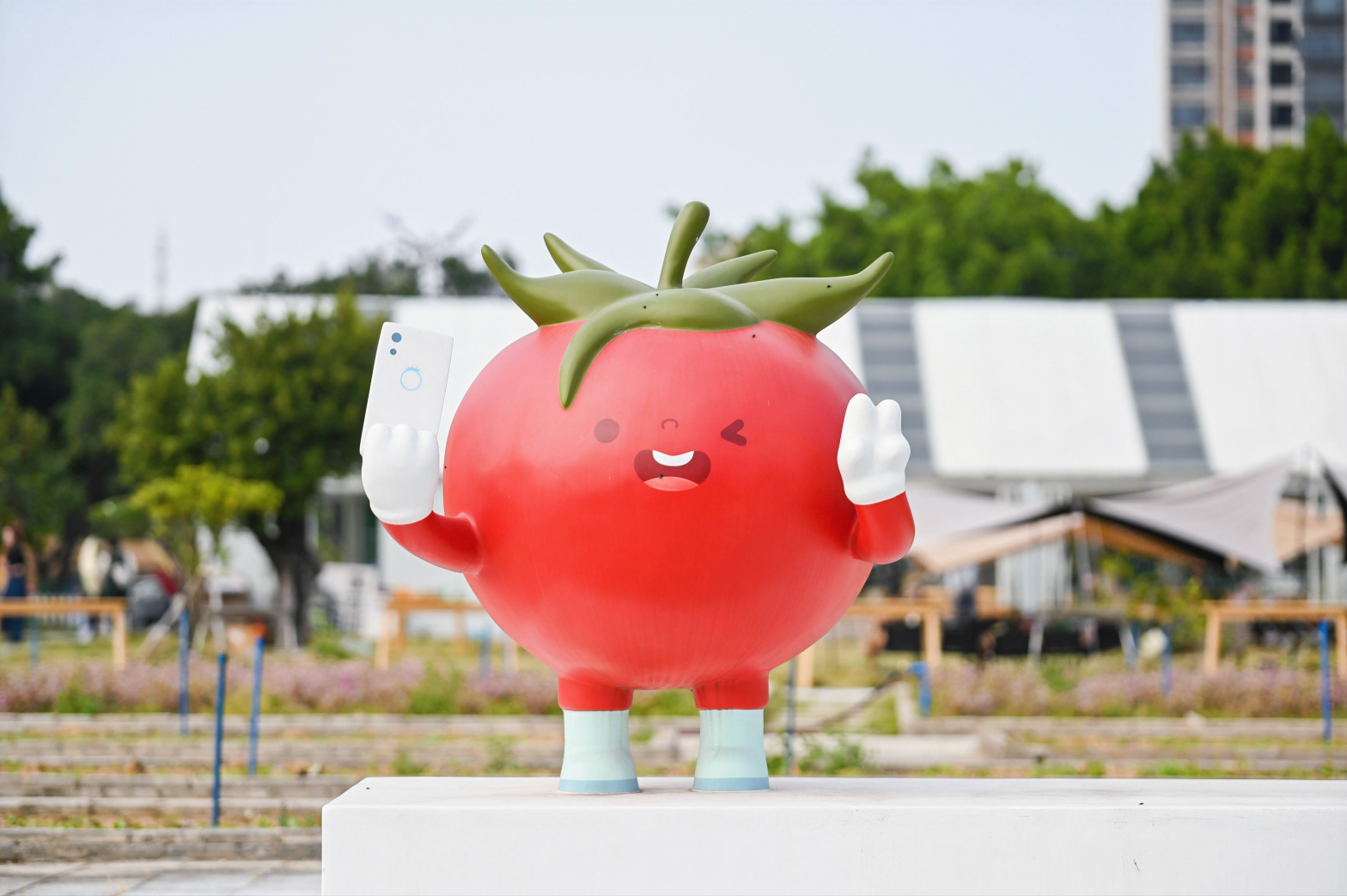 【Tomato Farm番茄片场】广州办公场地租赁_联合办公租赁