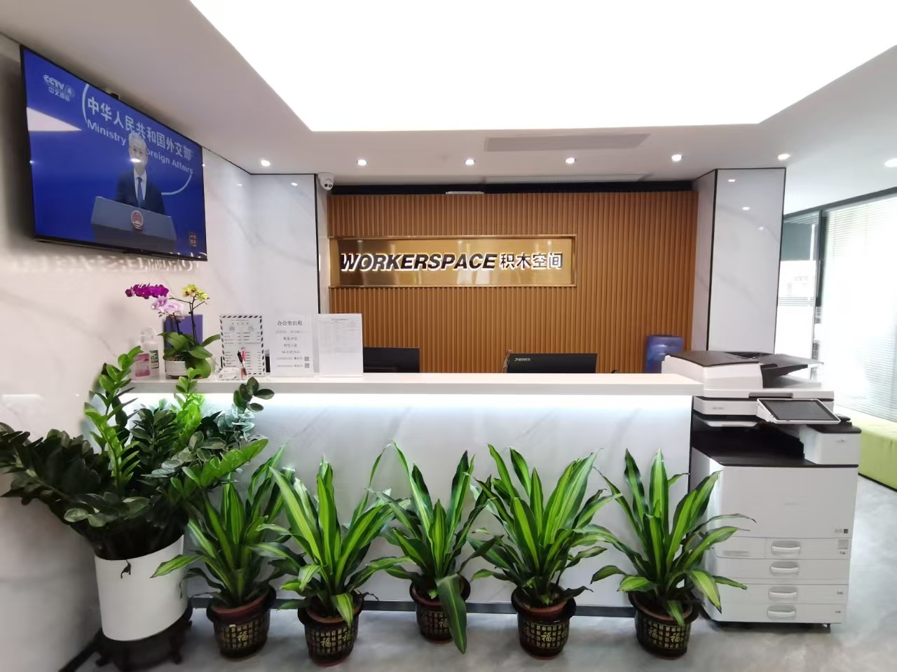 积木空间 Guangzhou China|CPASS